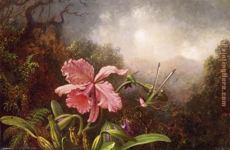 Martin Johnson Heade Two Hummingbirds by an Orchid